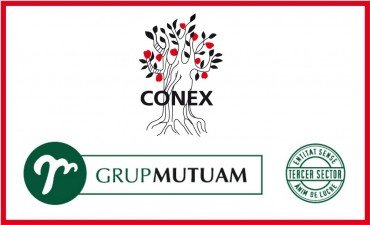 conex-mutuam