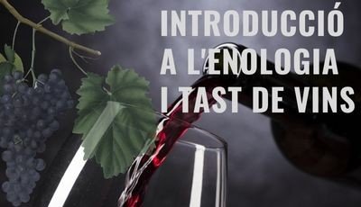 Introducció a l'Enologia i Tast de vins - Imatge