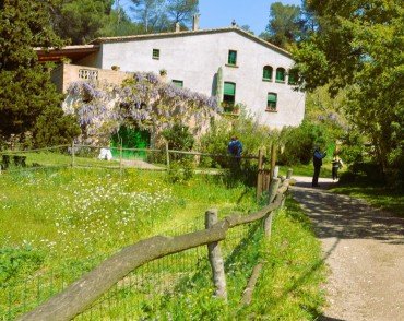 La Floresta, Molins de Rei, la Rierada