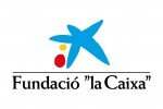 Fundacio LaCaixa Vertical - Original Rebut